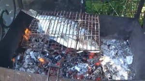 Готовим леща на мангале походным способом.