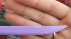 Опыление цикламена. Как получить семена в домашних условиях