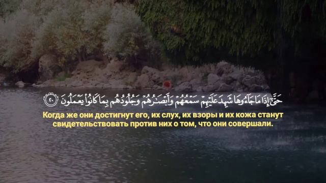  Rizgar Kurdi رزكار الكردي I Sura Fussilat  سوره فصلت