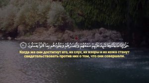 ♥️😍 Rizgar Kurdi (رزكار الكردي) I Sura Fussilat  (سوره فصلت)😍♥️