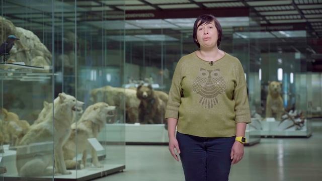 Экскурсия по Дарвиновскому музею, часть 2 смотреть онлайн