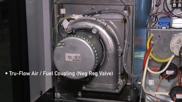 RBI introduces Torus watertube boilers and water heater смотреть онлайн