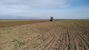 Самодельный глубокорыхлитель плоскорез для МТЗ