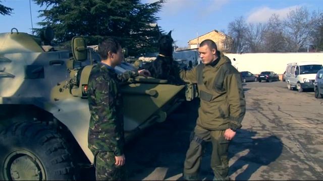 Кинолог 1.02.2015 смотреть онлайн