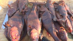 Коптим Окуня Горячим Копчением