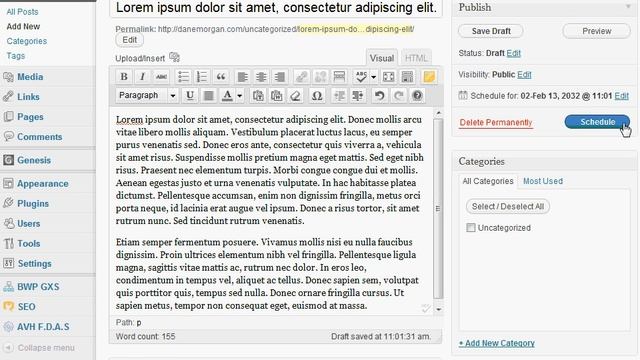 Post Dating / Scheduling a WordPress Blog Post смотреть онлайн