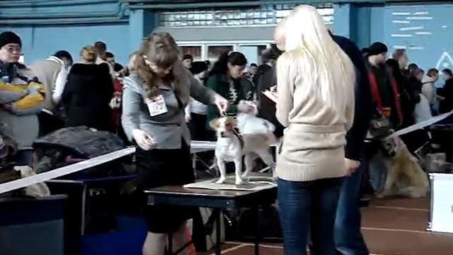 ЛЩ. Сука. Геля. Екатеринбург 21_02_10. Эксперт Хомасуридзе смотреть онлайн