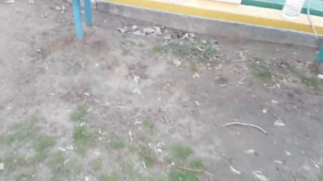 СВИНИНА НА КОСТОЧКЕ В ПРЯНО-КАРАМЕЛЬНОМ МАРИНАДЕ!!! ВЫЗОВ ОБЛОМОВУ, ЛАЗЕРСОНУ И ГРИЛЬКОВУ! ШЕФПОВАР смотреть онлайн