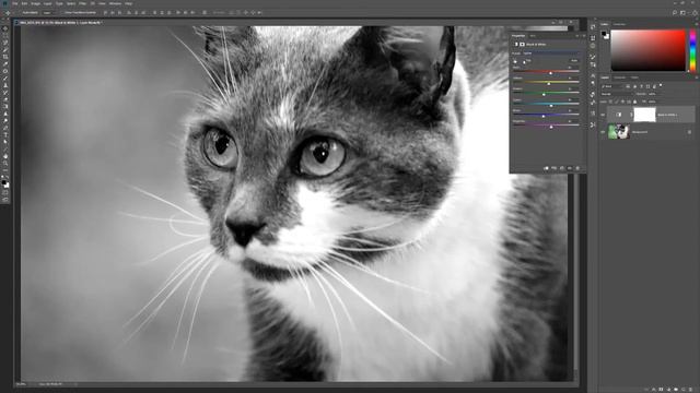 Photoshop | Black and White Adjustment Layer смотреть онлайн