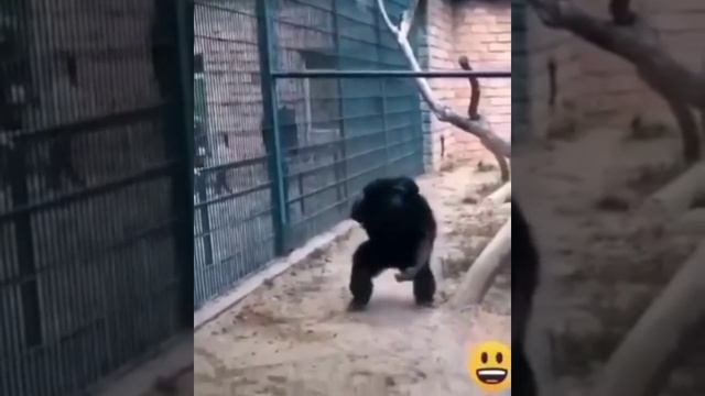 довели. mp4 смотреть онлайн