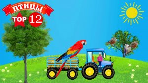 Едет трактор по полям - Учим виды птиц - ТОП 12 красивых птиц в мире - Синий Трактор учим птиц.