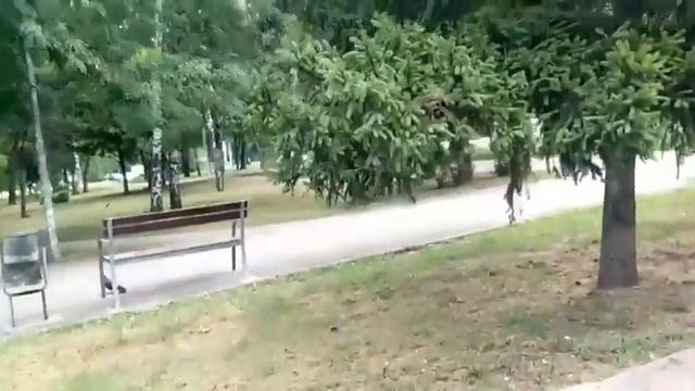 Семья Бровченко! Отношения к прививкам и Теория Заговора! Обзор на канал Семья Бровченко! смотреть онлайн