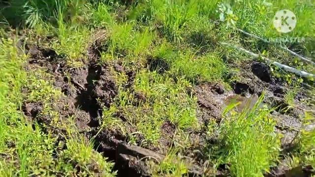 Первая неделя отпуска на даче у отчима. Часть 1) смотреть онлайн