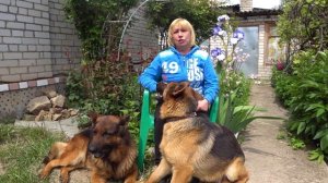 Почему собаки роют ямы? Что делать?