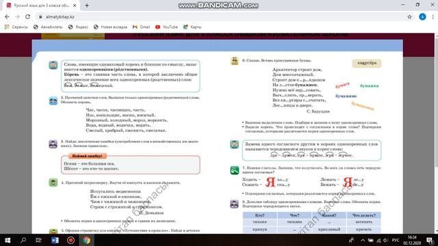 рус. язык на 03.12 (ч.2) смотреть онлайн