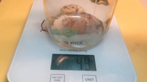 Азотная кислота в домашних условиях