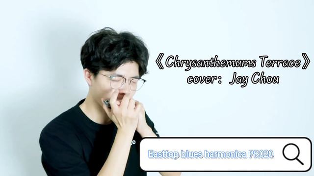 Easttop PR020 blues harmonica song name"Chrysanthemums Terrace" played by Clock смотреть онлайн