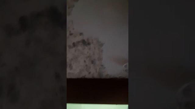 снять жидкие обои?легко !