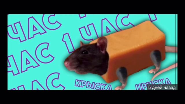 Песня мышка сосиска без музыки!