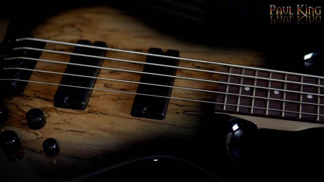 Ibanez Gio 5 string Bass - A bass Guitar On a Budget //4K смотреть онлайн