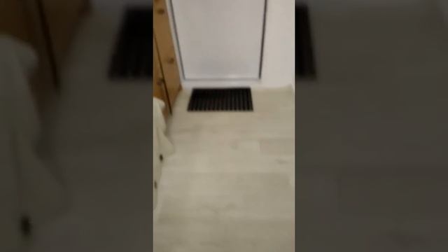 Оформили площадку ( тамбур) перед входом в квартиру смотреть онлайн