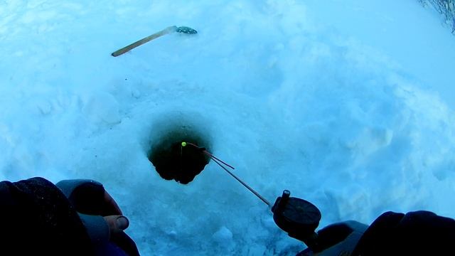 Ловля плотвы на мормышки. Зимняя рыбалка 2020. ЕтыПур. смотреть онлайн