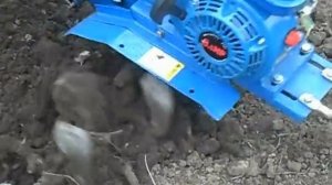 мотоблок zubr модель PS-Q70