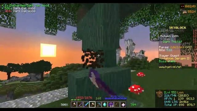 ГАЙД ПО ФОРАДЖИНГУ НА Hypixel SkyBlock [2022 edition] | То что нужно знать! | (остров рпг) смотреть онлайн