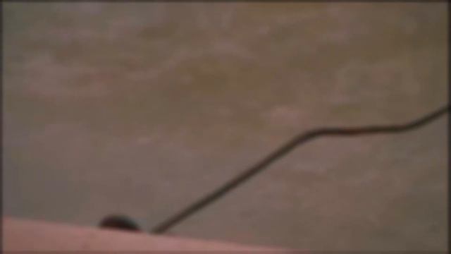 Rip torn the doom slayer смотреть онлайн