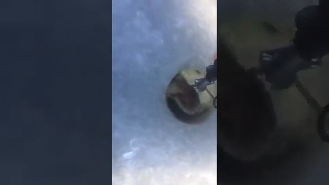 Рыбалка зимой смотреть онлайн