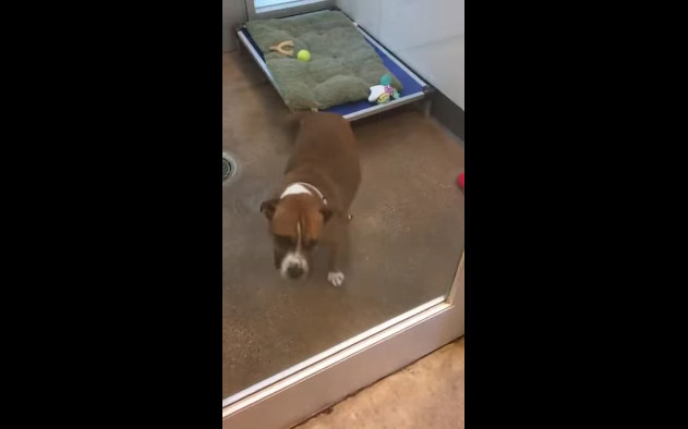 Как правильно подать себя смотреть онлайн