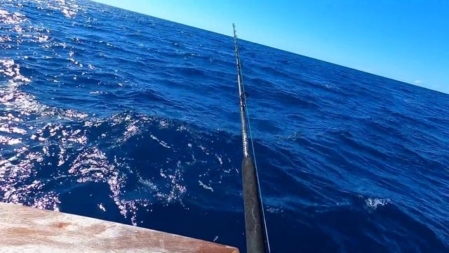 The fish just got bigger & BIGGER! Exploring new waters! (catch and clean) смотреть онлайн