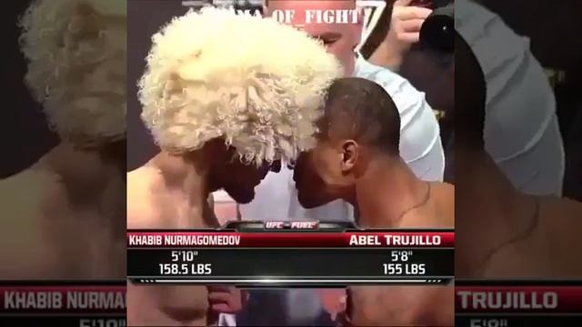 Кавказские Бойцы UFC