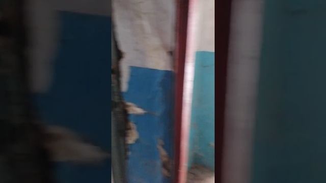 Отделка стен и потолков профнастилом в старом здании смотреть онлайн