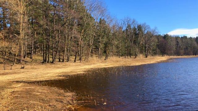 National park Национальный парк смотреть онлайн