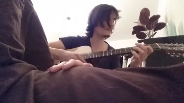 12 String Guitar Impro for the Baby in the Womb смотреть онлайн