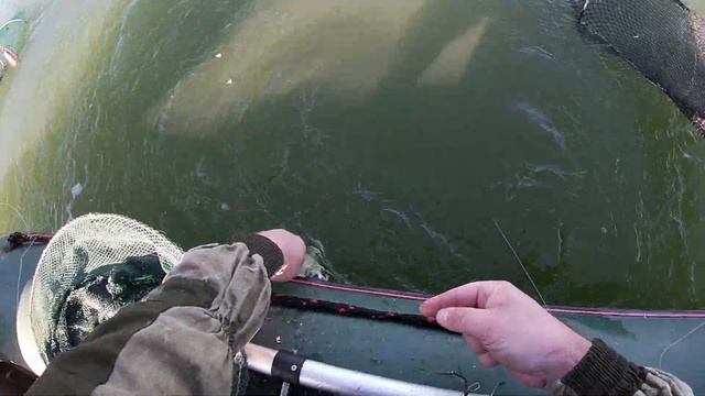 Осенний лещ на Дону смотреть онлайн