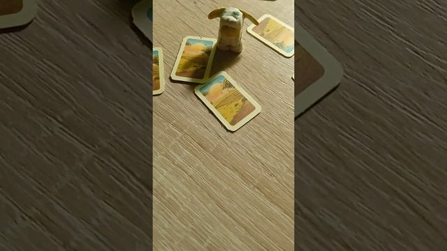 Амонг но все задания спрятаны смотреть онлайн