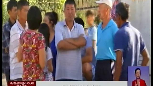 Жители дачного поселка в Кызылорде жалуются на пропажу скота с пастбищ смотреть онлайн