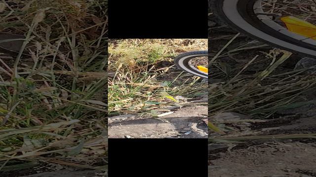 страдаем фигнёй