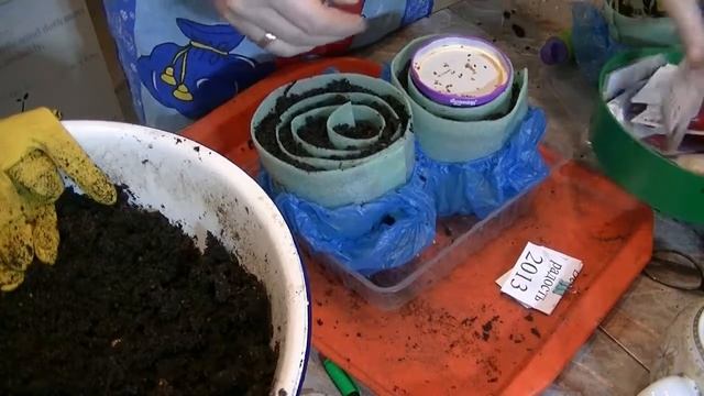 семена помидор 2 способа посадки смотреть онлайн