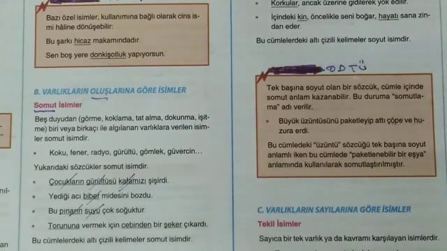 Sözcük Türleri / İsimler ( Adlar )