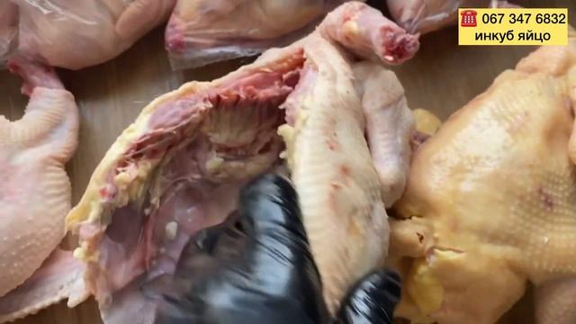 Купить Мясо Домашней Курицы//Куриное мясо ORGANIC смотреть онлайн