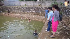 Thăm Cơ Ngơi Khủng của Anh Em Tam Mao TV ăn toàn món ngon cùng A Hải Sapa TV Bếp Trên Bản Song Hỷ