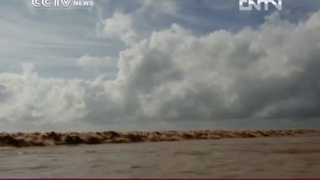 Amazon tide: A natural wonder смотреть онлайн