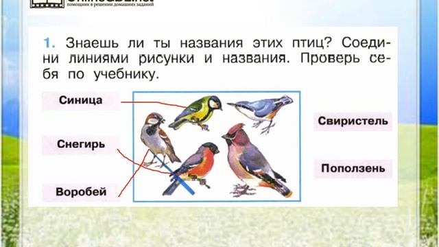 Задание 1 Как зимой помочь птицам? - Окружающий мир 1 класс (Плешаков А.А.) 1 часть смотреть онлайн