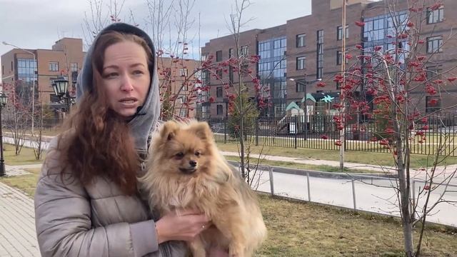 Трубчатые кости собаке\кошке можно давать? Вредны ли вареные кости в питании домашних животных? смотреть онлайн