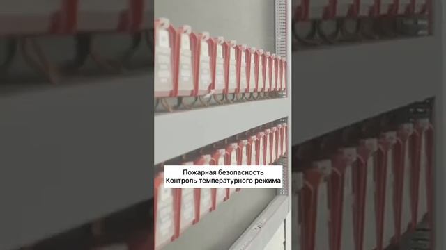 м Полежаевская смотреть онлайн