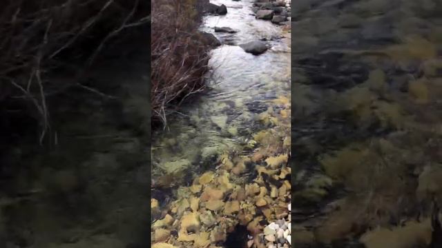 Саха сиригэр булт (Охота в Якутии) смотреть онлайн