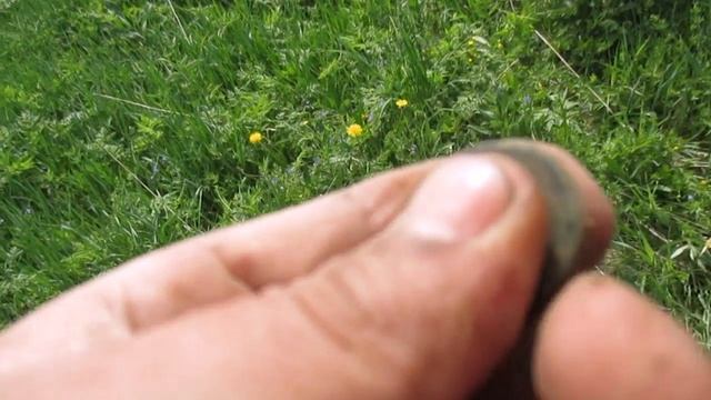 Высокая трава и кусочек серебра(Minelab Safari). смотреть онлайн